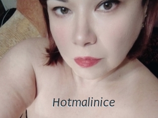 Hotmalinice