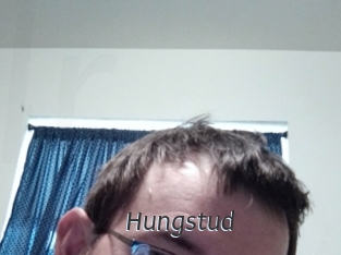 Hungstud