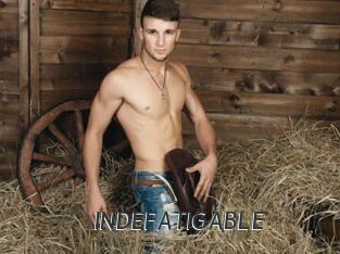 INDEFATIGABLE