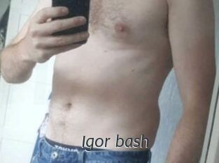 Igor_bash