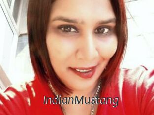 IndianMustang