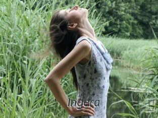 Ingera