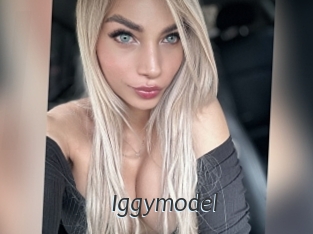 Iggymodel