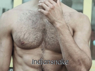 Indiansnake