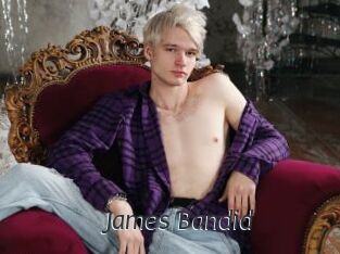James_Bandid Ligne Rose