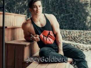 JoeyGoldberg