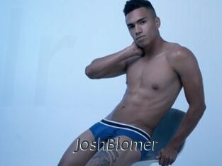JoshBlomer