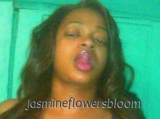 Jasmineflowersbloom