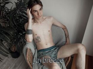 Jaybreeze