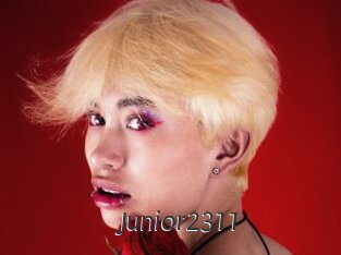 Junior2311