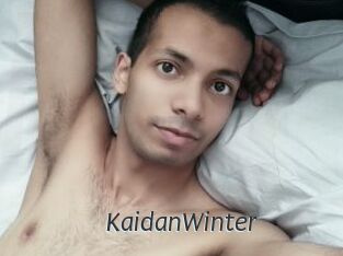KaidanWinter