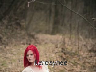 Kerosynee