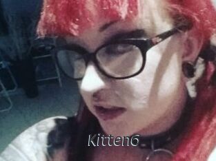 Kitten6