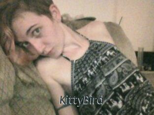 KittyBird