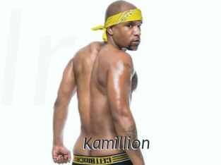 Kamillion