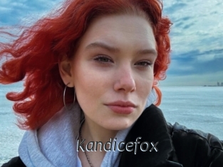 Kandicefox