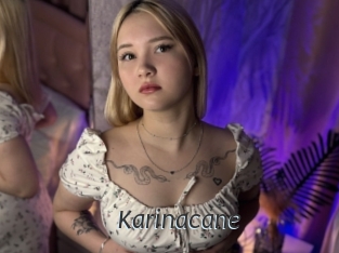 Karinacane