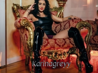 karinagreyy Ligne Rose