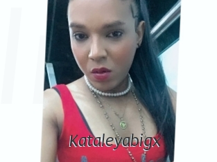 Kataleyabigx