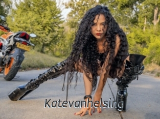 katevanhelsing Ligne Rose