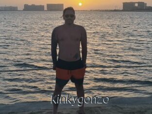 Kinkygonzo
