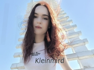 Kleinmird