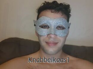 Knabbelkaas1