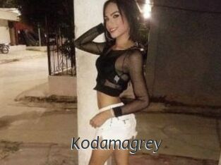 Kodamagrey