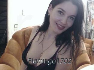 Flamingo1702