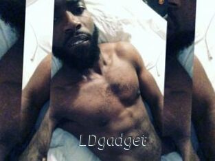 LDgadget