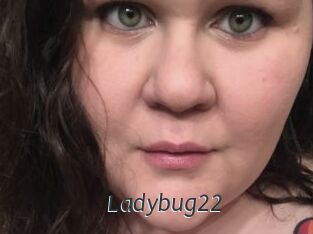 Ladybug22