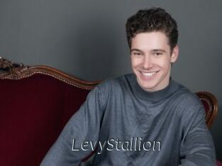 LevyStallion