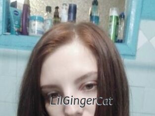 LilGingerCat