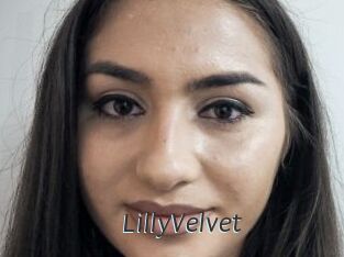LillyVelvet