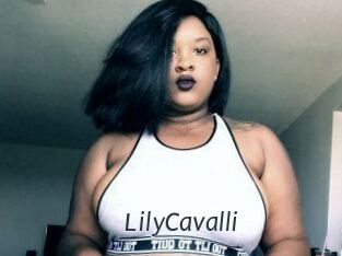 Lily_Cavalli