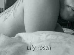 Lily_roseh