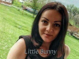 Little_Bunny_