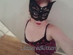 Littleredkitten