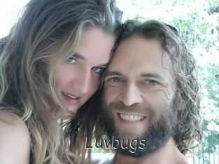 Luvbugs