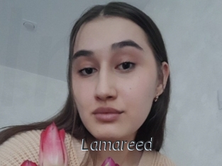 Lamareed
