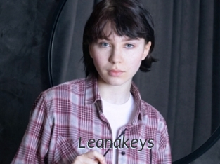 Leanakeys