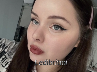 Ledibritmi