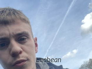 leebean Ligne Rose