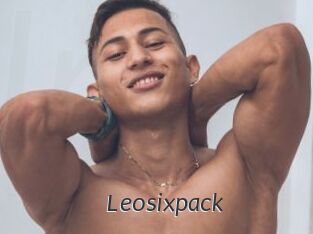 Leosixpack