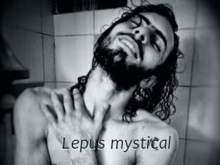 Lepus_mystical