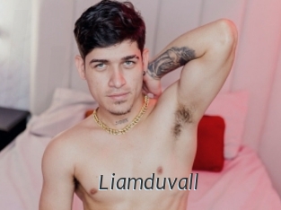 liamduvall Ligne Rose