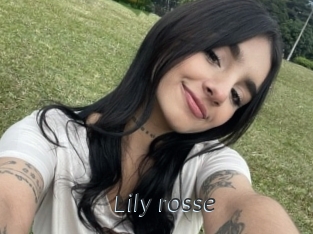 Lily_rosse