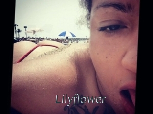 Lilyflower