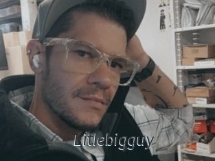 Litlebigguy