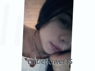 LittleflowerTS
